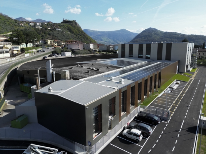 Feltri Marone: Rising from the Ashes